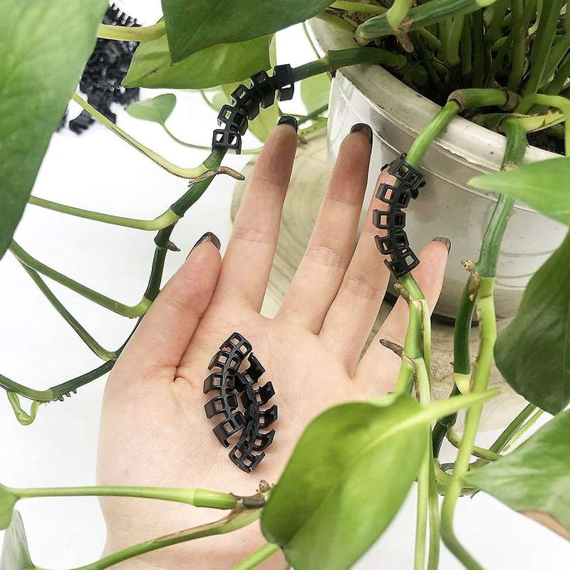 100pcs Plant Benders Plant Supports Control The Growth Of Plants