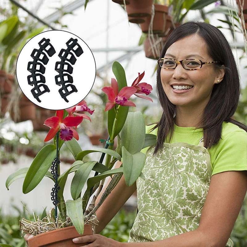 100pcs Plant Benders Plant Supports Control The Growth Of Plants