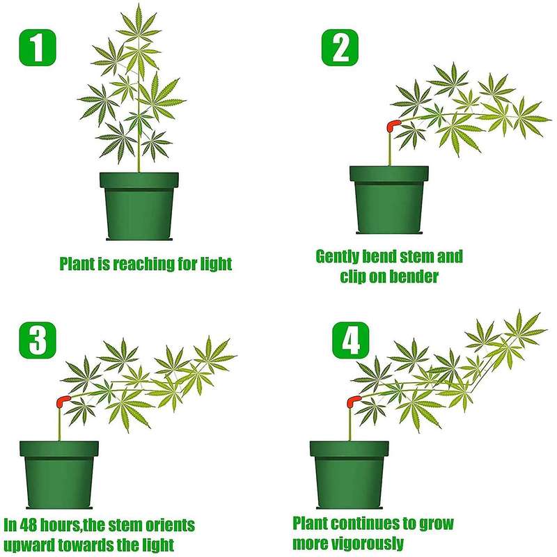 100pcs Plant Benders Plant Supports Control The Growth Of Plants