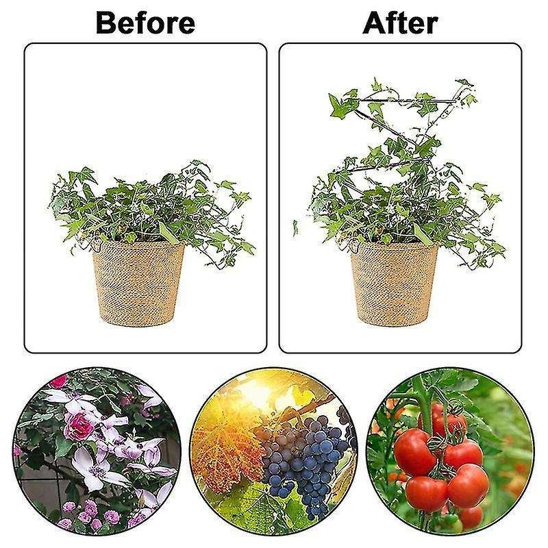 2pc Rust-proof Metal Support Line for Garden Potted Climbing Stems-a