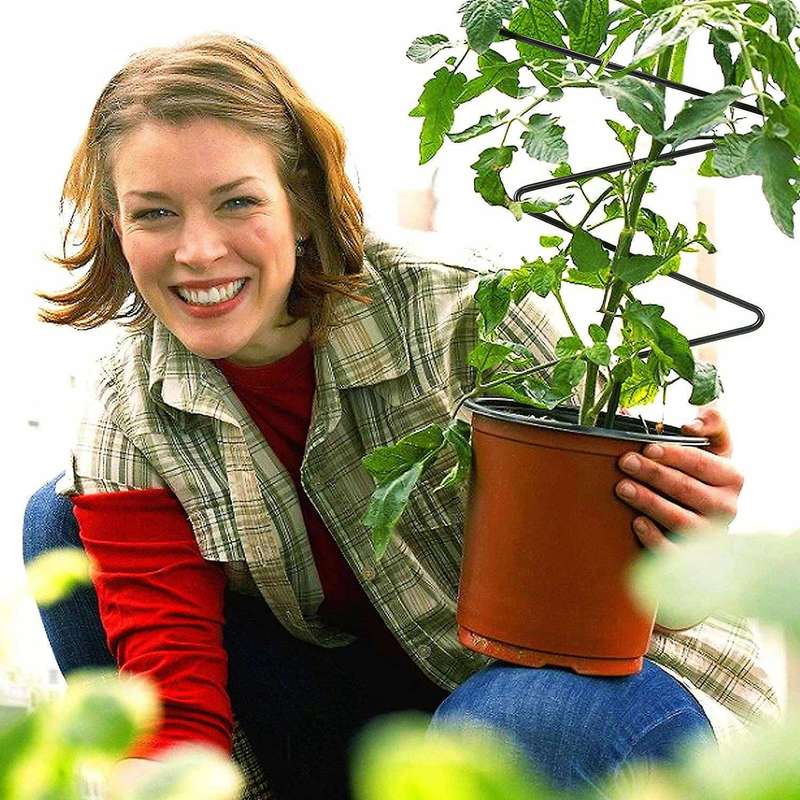 2pc Rust-proof Metal Support Line for Garden Potted Climbing Stems-a