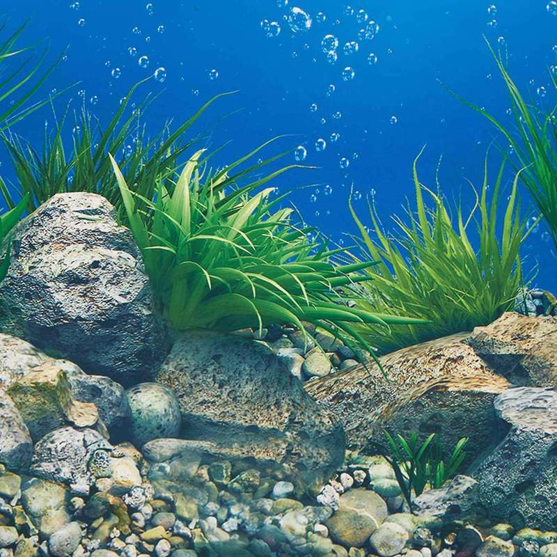 Wallpaper Background Aquarium Decorative Fish Tank Sticker40x82cm