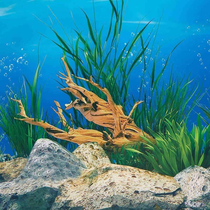 Wallpaper Background Aquarium Decorative Fish Tank Sticker40x82cm