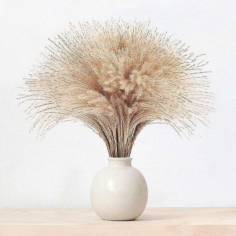 60pcs Pampas Grass, Fluffy Pampas Grass Decor.manually Selected Dried