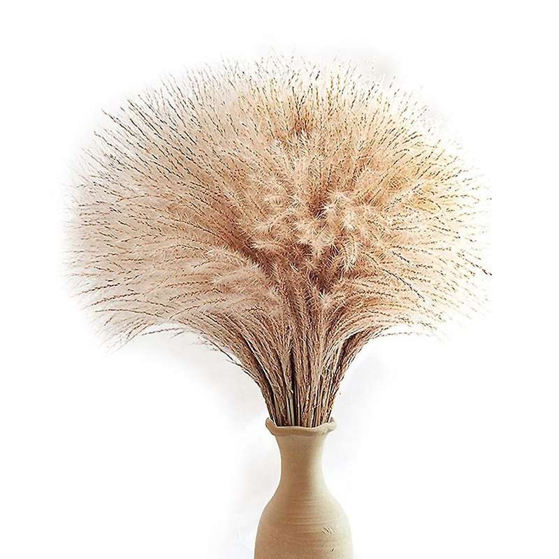 60pcs Pampas Grass, Fluffy Pampas Grass Decor.manually Selected Dried