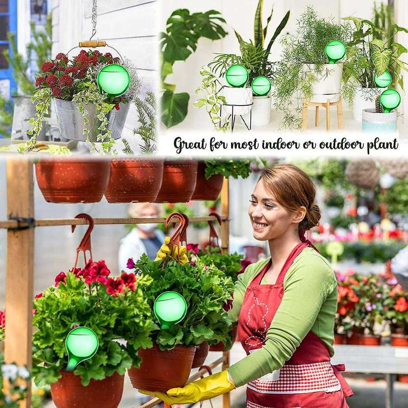 8-piece Plant Watering Bulbs, for Indoor Outdoor Plant Watering Bulbs