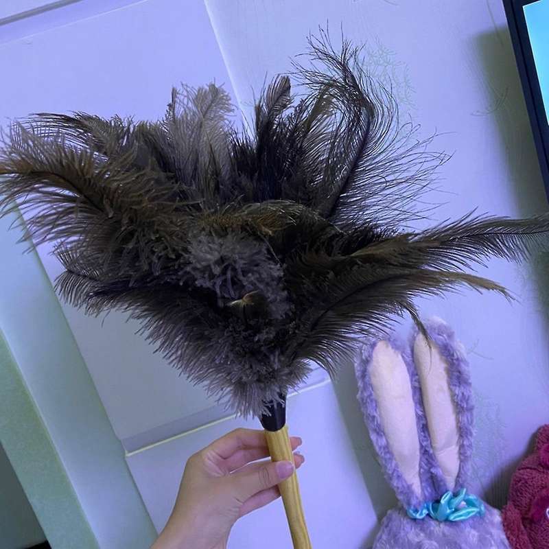 Retractable Feather Duster for Ostrich Household Car Cleaning Small