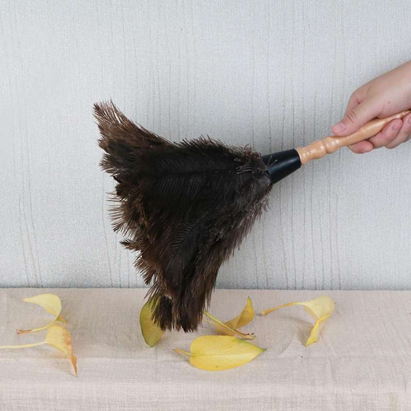 Retractable Feather Duster for Ostrich Household Car Cleaning Small