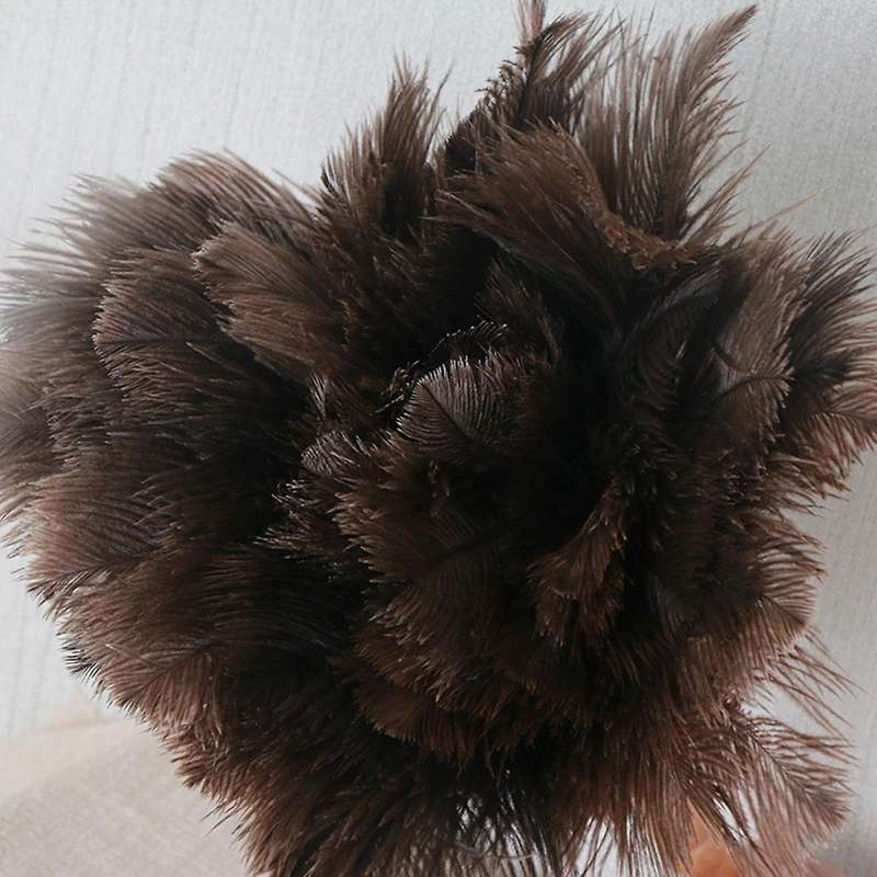 Retractable Feather Duster for Ostrich Household Car Cleaning Small