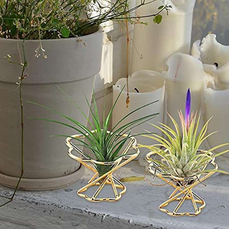 Air Plant Holder Metal for Home Office and Wedding Decoration