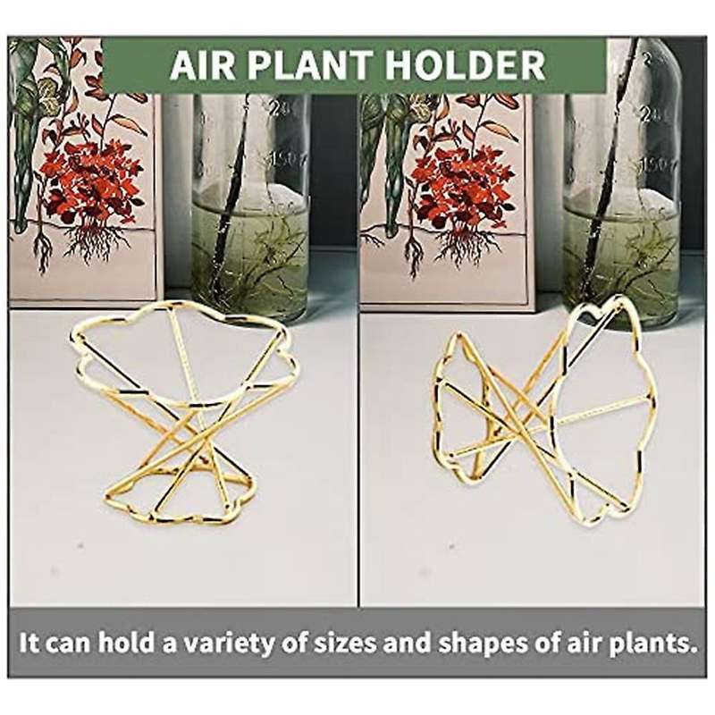 Air Plant Holder Metal for Home Office and Wedding Decoration