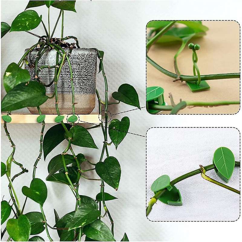80pcs Plant Climbing Wall Fixture Clips Vines Holder for Wall Decor
