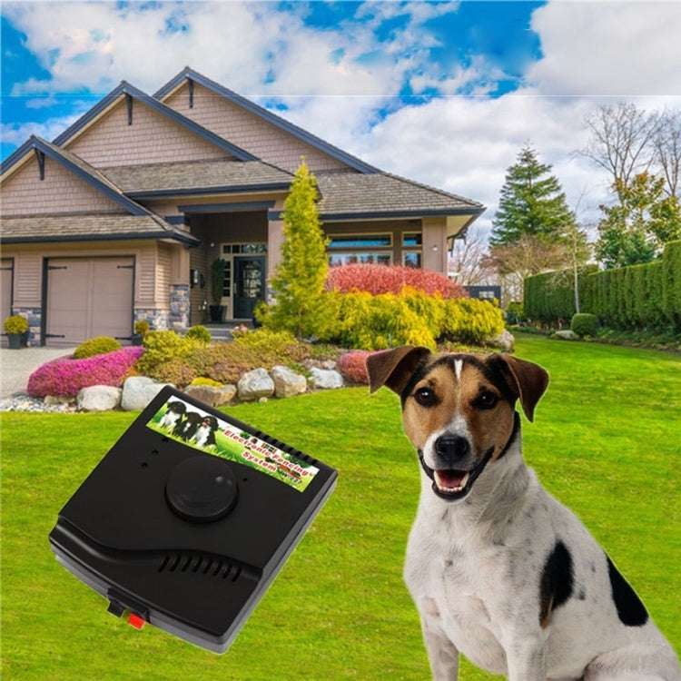 W-227 Electric Fencing Collar System for Pet Dog Cat