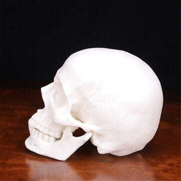 Human Skull Handmade Decoration Goth Halloween Decor Gift Souvenirs Ornament