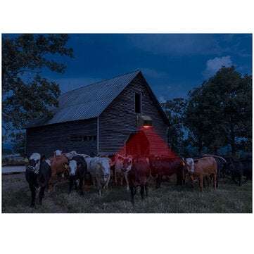 Solar Alarm Strobe Light Animal Repellent Flashing 8 LEDs Light Motion Sensor Security Alarm System