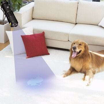 LED UV Flashlight Ultraviolet Torch with Zoom Function Mini UV Black Light Pet Urine Stains Detector