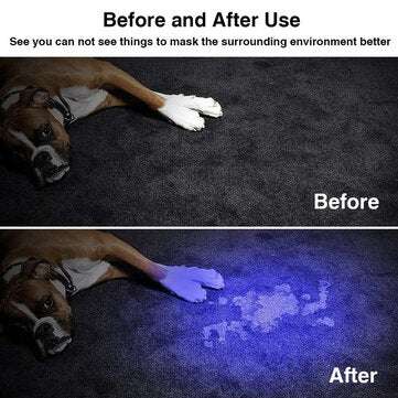 LED UV Flashlight Ultraviolet Torch with Zoom Function Mini UV Black Light Pet Urine Stains Detector