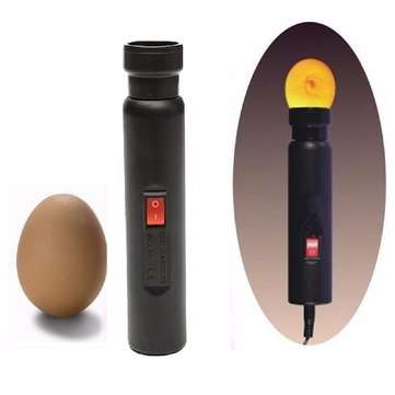 LED Light Incubator Egg Candler Tester For Hatching Eggs Quail Poultry Monitor