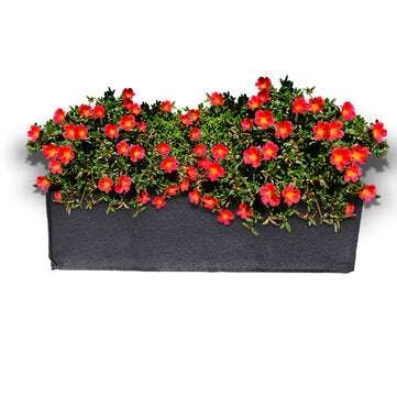 Raised Garden Bag