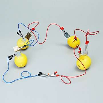 Fruit Battery Light Diode Science Kit Orange Potato Lemon Battery Physics Teaching Experiment