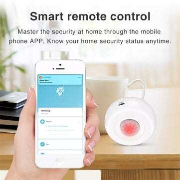 EARYKONG Wireless WIFI Ceiling PIR Mition Detector PIR Alarm Sensor Human Body Infrared Security Det