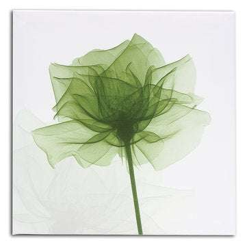 4Pcs Framed Abstract Flower Canvas Print Art Painting Home Wall Decorations 30cm