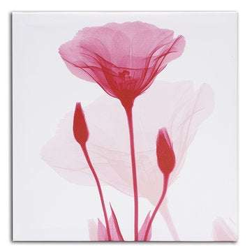4Pcs Framed Abstract Flower Canvas Print Art Painting Home Wall Decorations 30cm