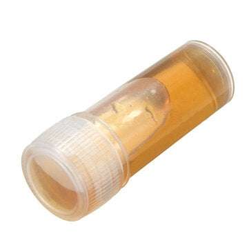50PCS 5ml Plastic Sample Small Bottle Vial Storage Container Test Tube for Lab