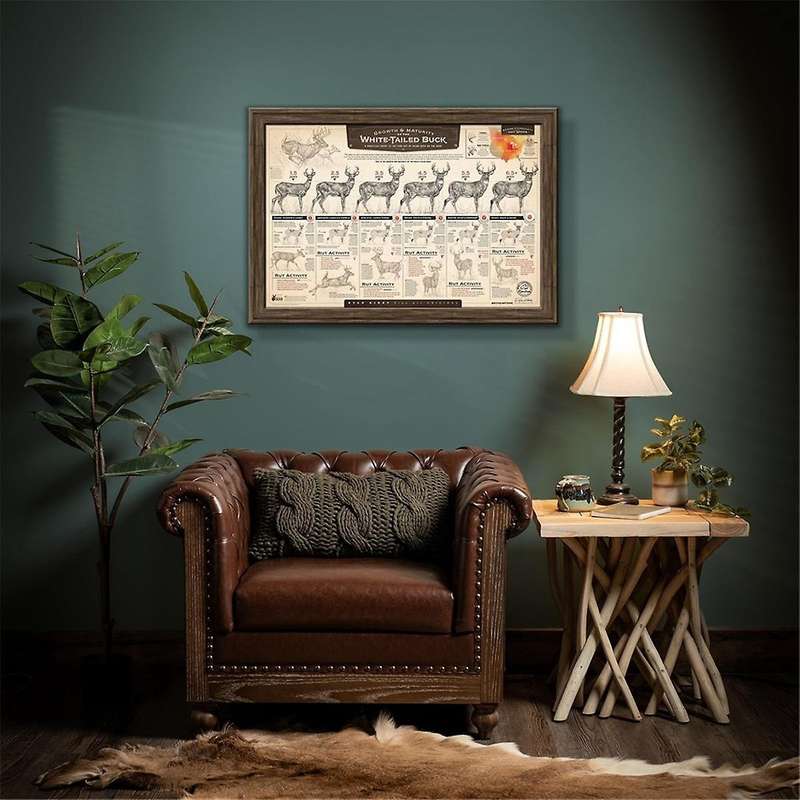 """the Growth and Maturity Of The White-tailed "" Paper Print A"