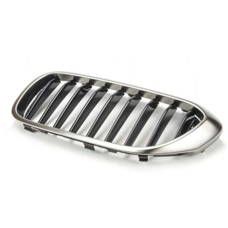 1 Pair Front Kidney Grille Car Center Net Grille for 5 Series 540I 530E G30 G31 51138070469 51138070