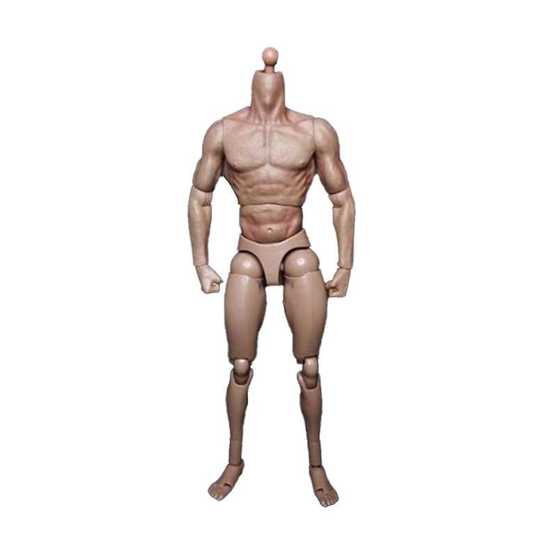 1/6 Scale Narrow Shoulder Male Body Doll for Ttm18 Ttm19 Hot Toys & Human Body Sketch Model