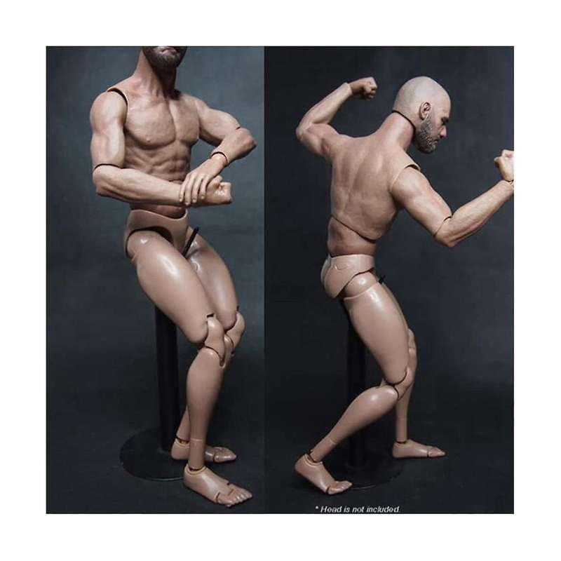 1/6 Scale Narrow Shoulder Male Body Doll for Ttm18 Ttm19 Hot Toys & Human Body Sketch Model