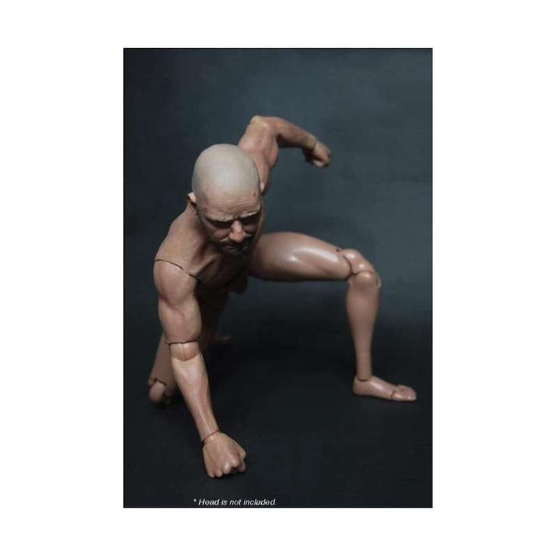 1/6 Scale Narrow Shoulder Male Body Doll for Ttm18 Ttm19 Hot Toys & Human Body Sketch Model