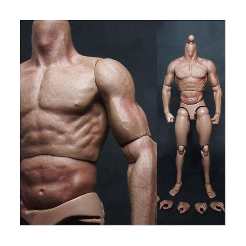 1/6 Scale Narrow Shoulder Male Body Doll for Ttm18 Ttm19 Hot Toys & Human Body Sketch Model