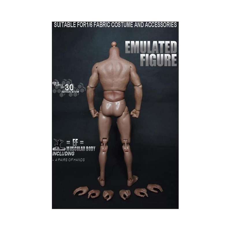 1/6 Scale Narrow Shoulder Male Body Doll for Ttm18 Ttm19 Hot Toys & Human Body Sketch Model