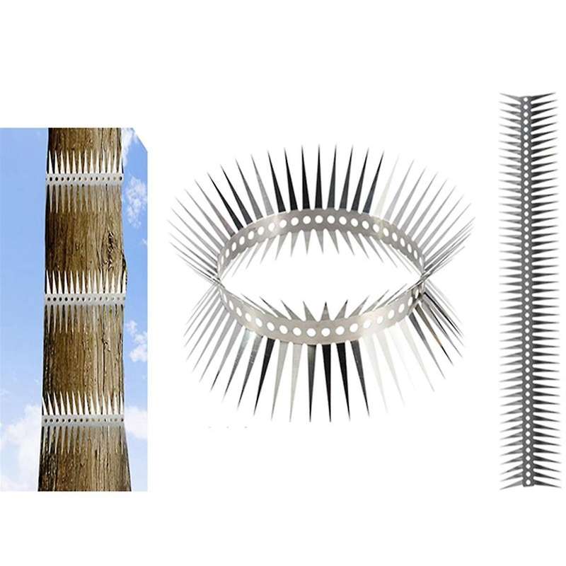 10 Feet Outdoor Anti-Bird Multifunctional Stainless Steel Bird Spikes Suitable for Roof Windowsills,