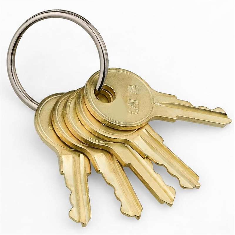 10 Pack CAT74 Toilet Paper Towel Dispenser Keys for GAMCO B-263 SOOV CAT 74 Dispenser