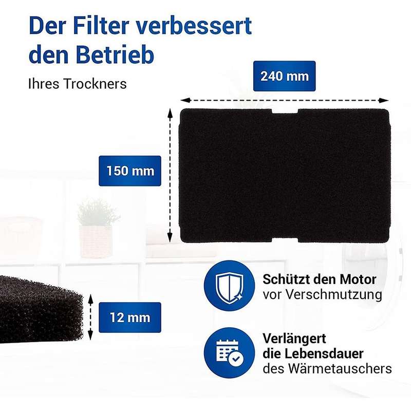 10 Pc Dryer Filter for Dryer Replacement for 2964840100, Filter for Dryer De8635rx Ds7512pa Tumble