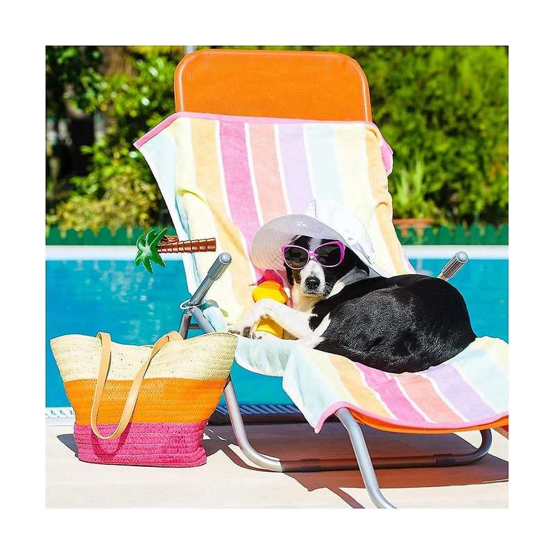 10 Pcs Beach Towel Clips Portable Chair Holders Bright Color Towel Clips Plastic Cute Clothes Clips