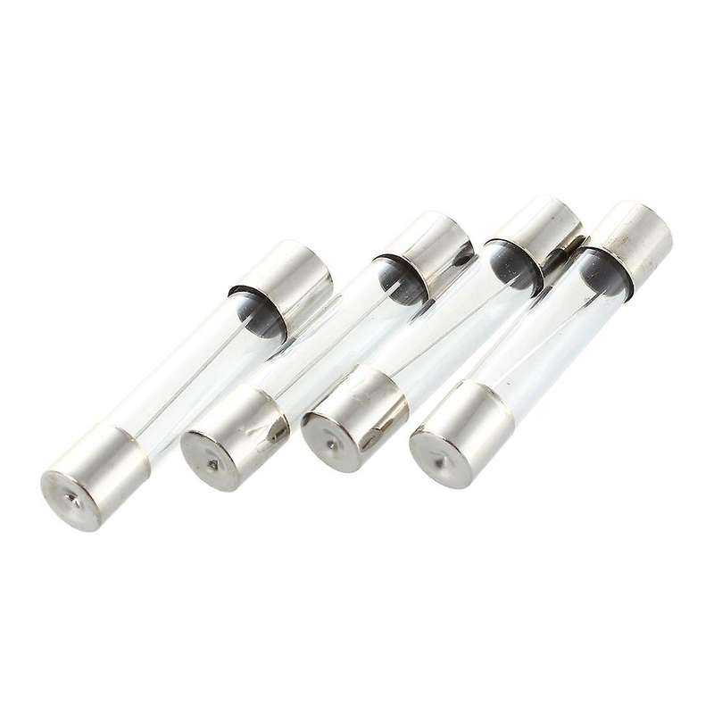 10 Pcs Fast Blow Type Glass Tube Fuses 6x30mm 250V 10A