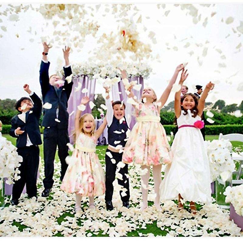 100 Pcs/Set Silk Petals Artificial Flower Petal Compatible Wedding Party Home Hotel Valentine's Day