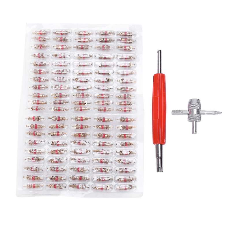 100 Pcs Tire Valve Stem Core Valve Core Removal Tool + Dual Head Valve Core Remover Tool with 4-Way