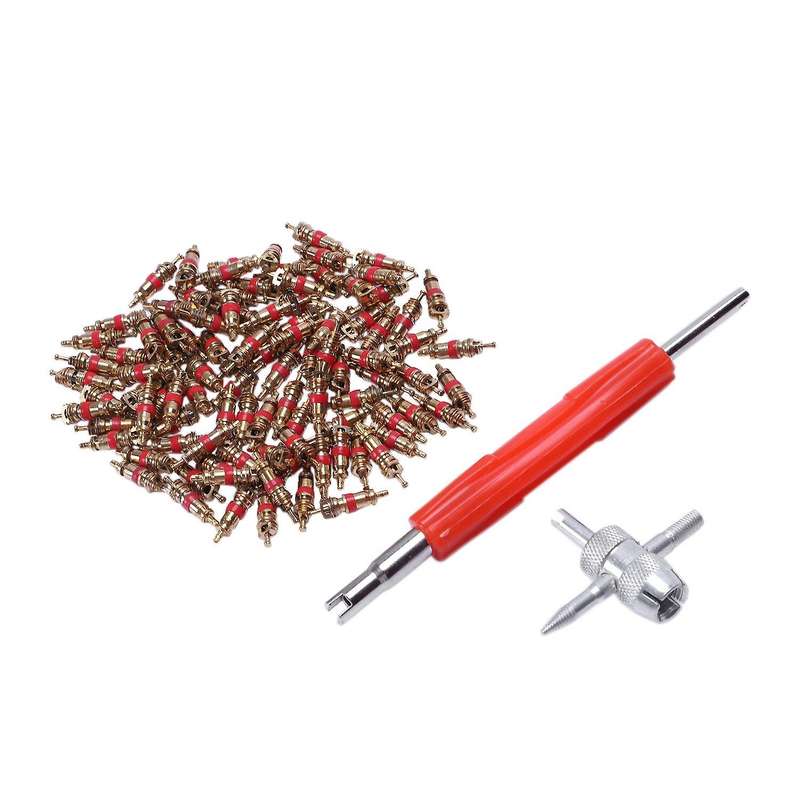 100 Pcs Tire Valve Stem Core Valve Core Removal Tool + Dual Head Valve Core Remover Tool with 4-Way