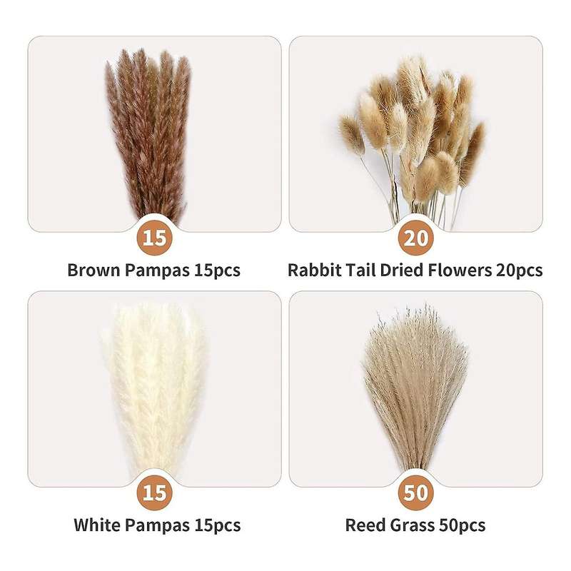 100 Stems Of 17 Inch Pampas Decor, Natural Dried Pampas Grass Contains Pampas (white and Brown), Re