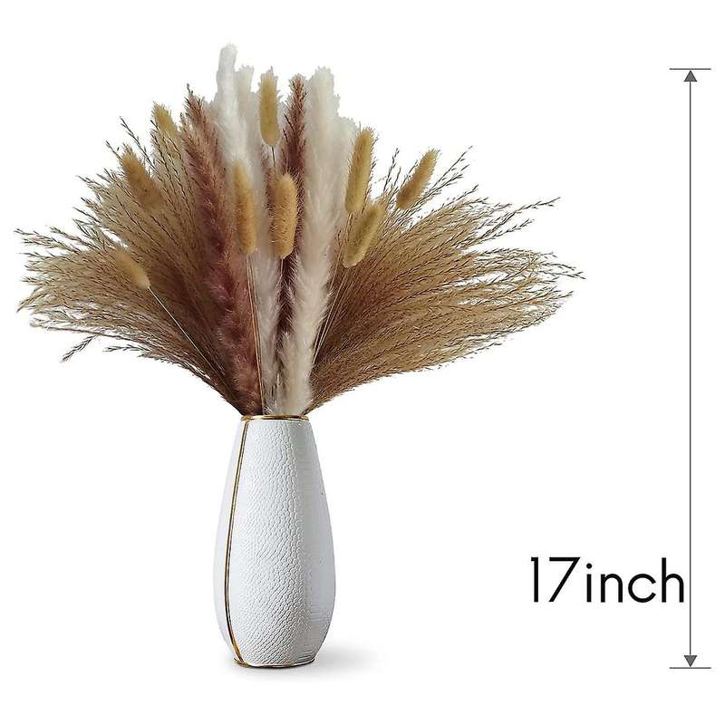 100 Stems Of 17 Inch Pampas Decor, Natural Dried Pampas Grass Contains Pampas (white and Brown), Re
