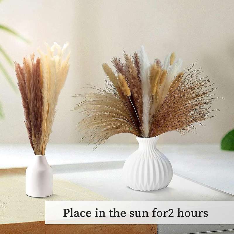100 Stems Of 17 Inch Pampas Decor, Natural Dried Pampas Grass Contains Pampas (white and Brown), Re