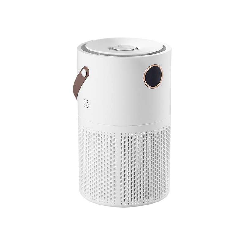 10000mah Negative Ion Air Purifier Portable Indoor Formaldehyde Air Filter Mute Smoke Removal Purifi