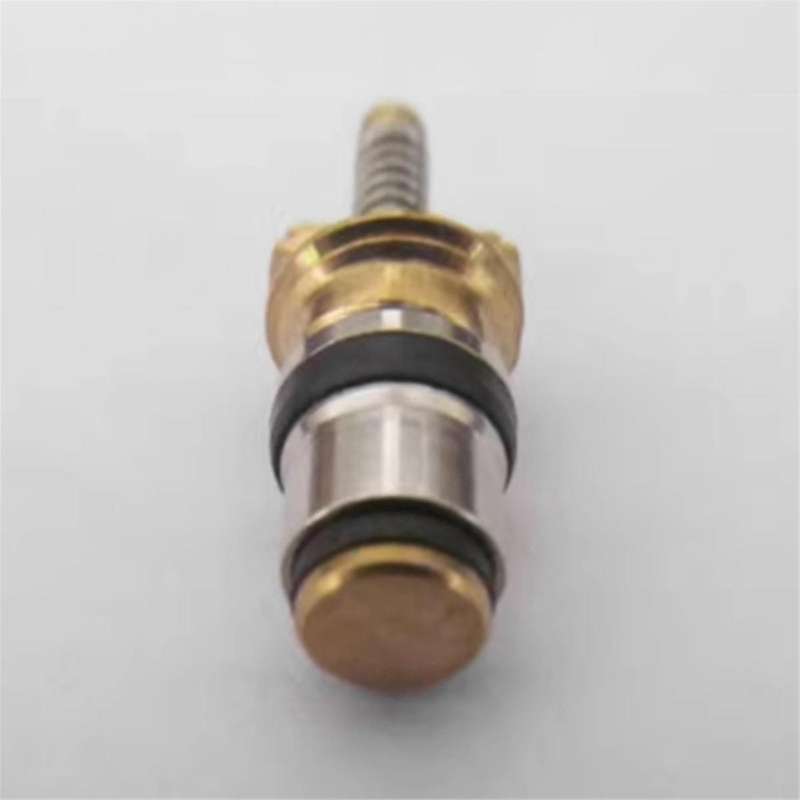 100pc Air Conditioning Charge Cold Medium Interface Valve Core for Elysee Beverly