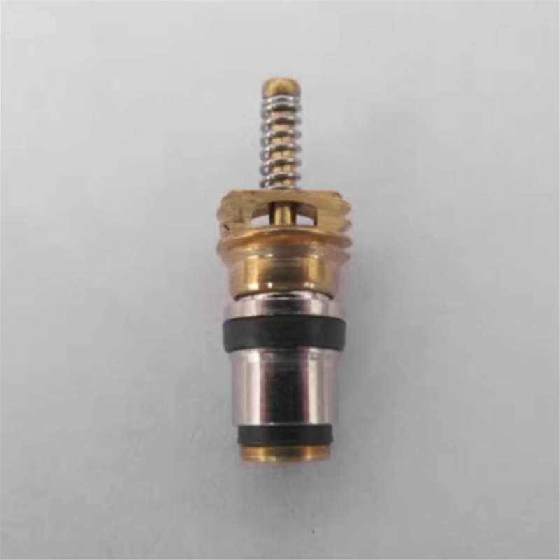 100pc Air Conditioning Charge Cold Medium Interface Valve Core for Elysee Beverly