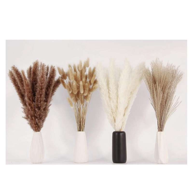 100PACK Dried Pampas Grass Decor Pampas Grass Bunny Dried Flowers Reed Grass Bouquet for Wedding Par
